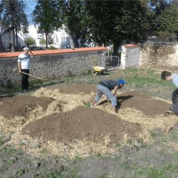 plantations-jardin-chapoton